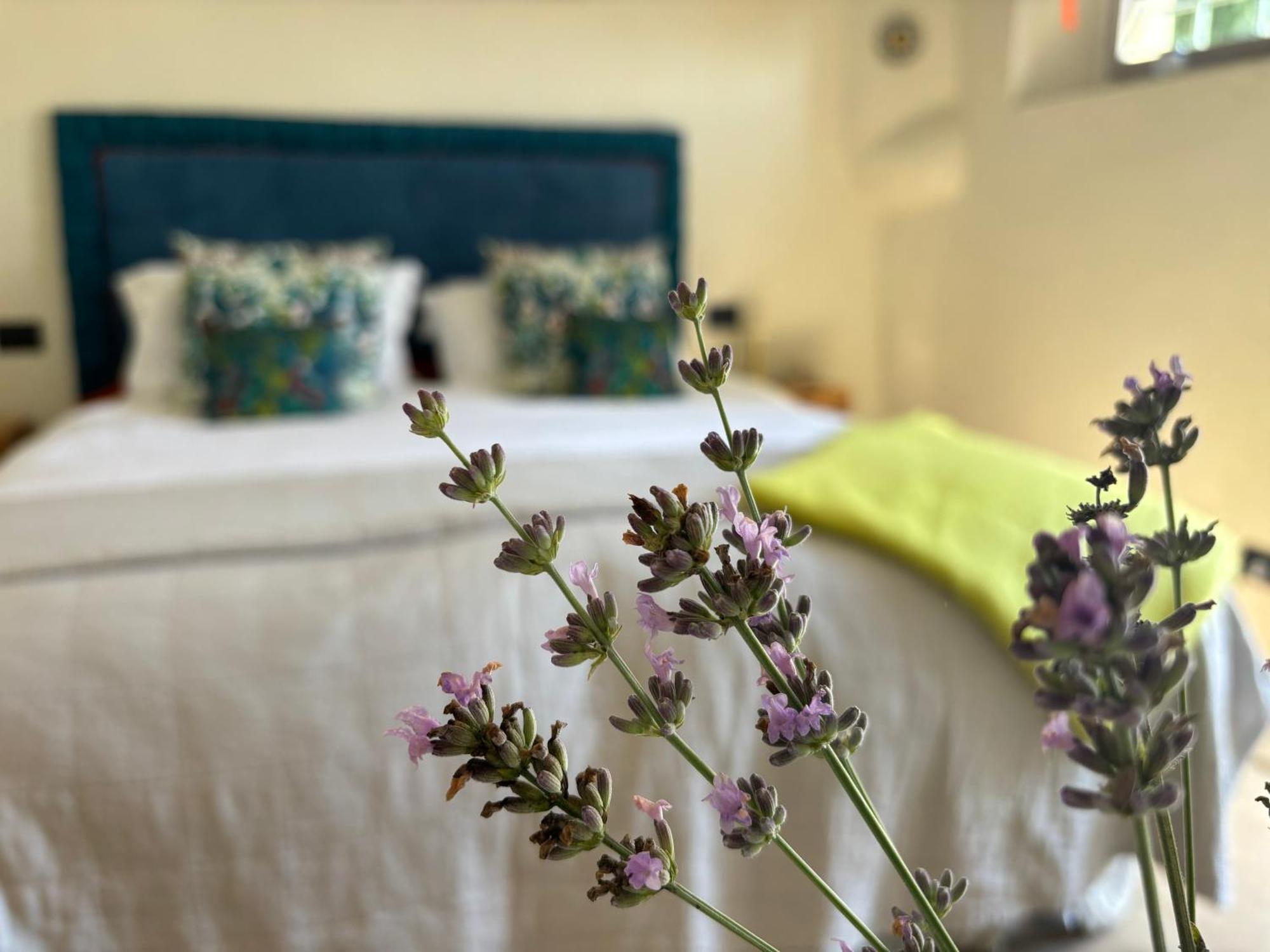 La Fuga Bed and Breakfast Bagni di Lucca Exteriör bild
